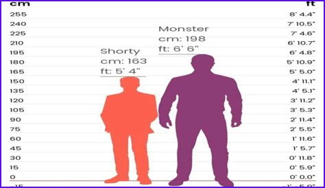 Discover The Height Of Vic Mensa